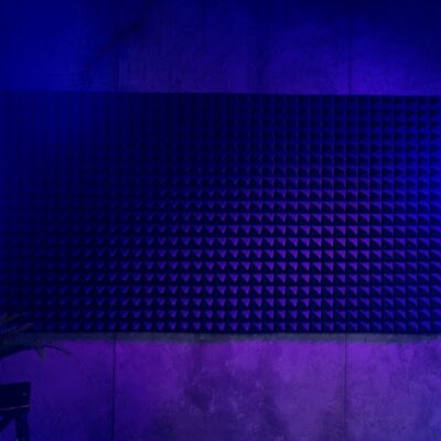 Sound Cannons and Their Impact on Populations